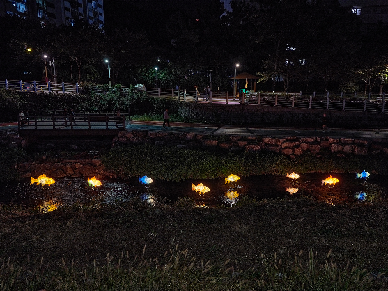 물고기들2