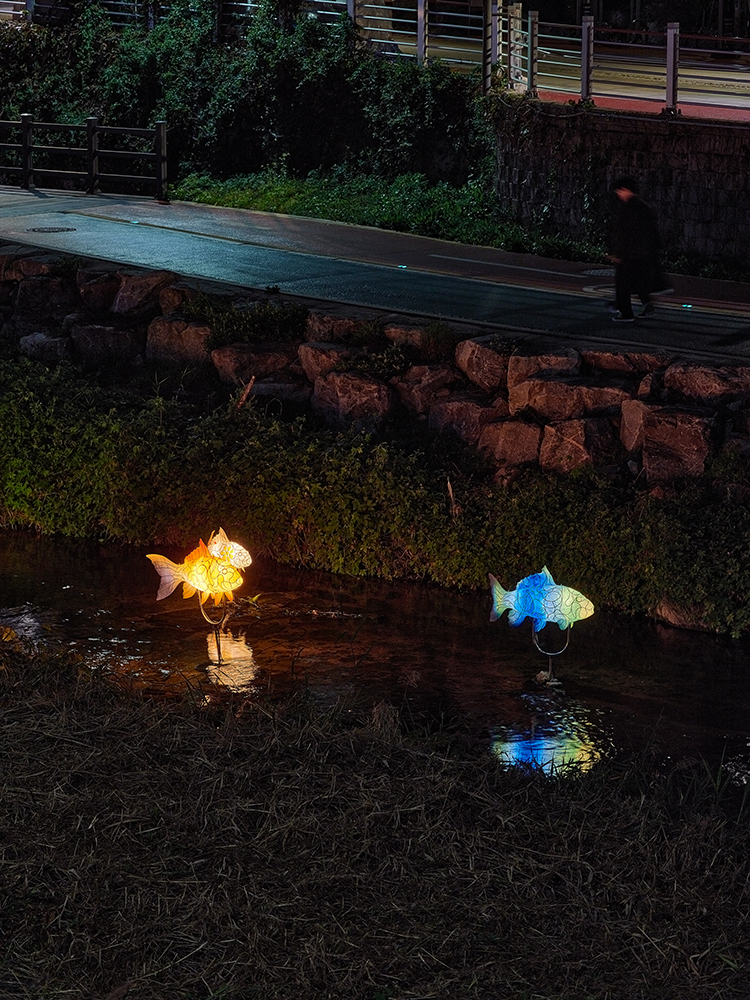 물고기들3