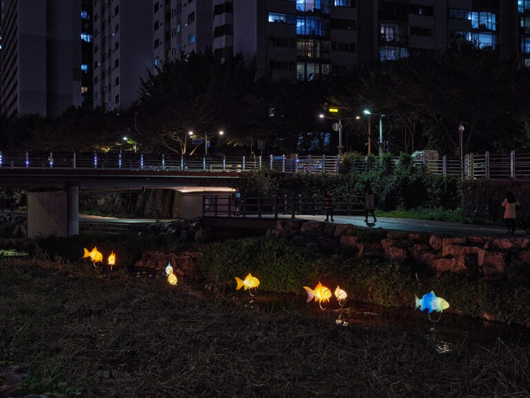 물고기들4