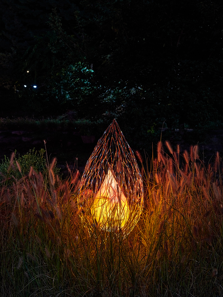 별빛들1