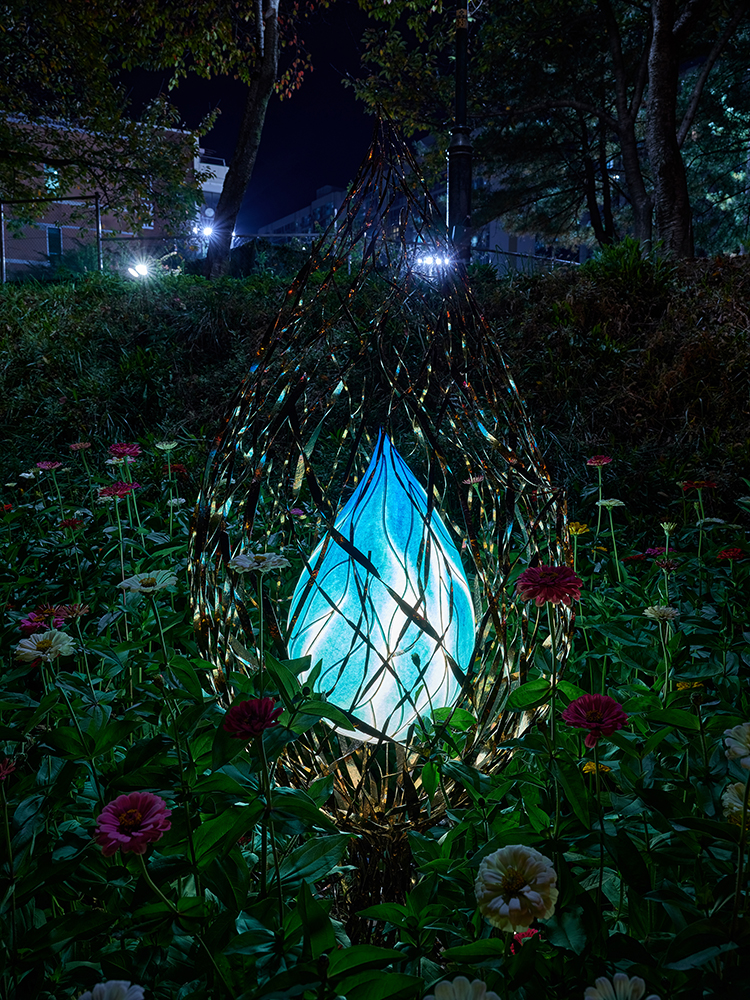 별빛들2