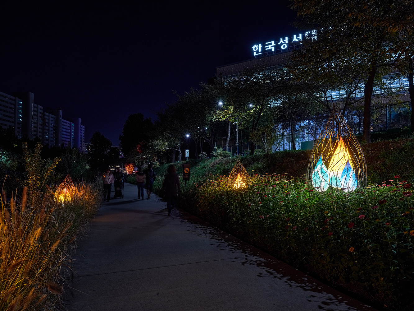 별빛들4