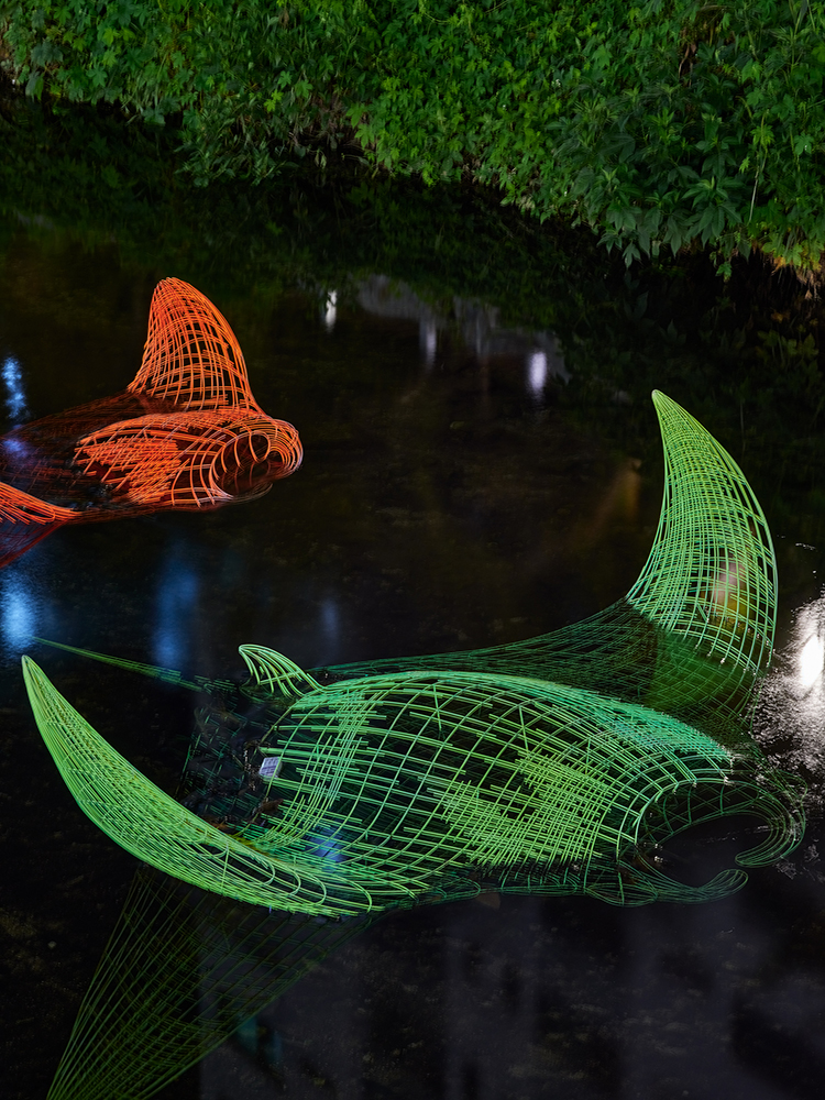 신비의바다4