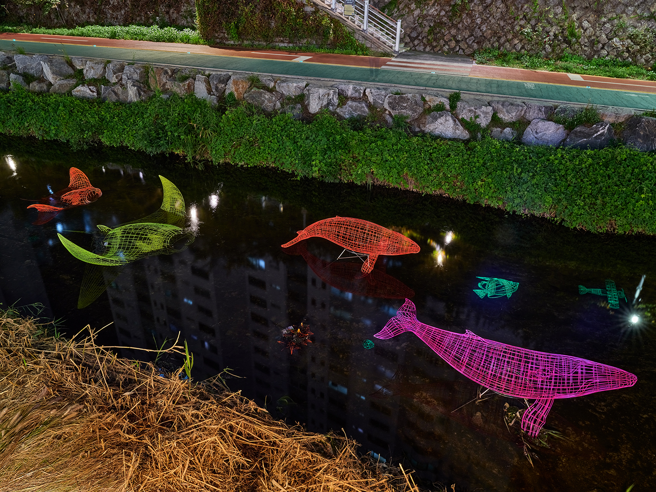 신비의바다5