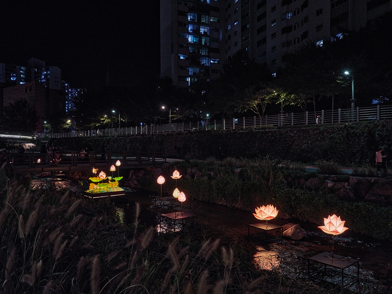 모네의정원4