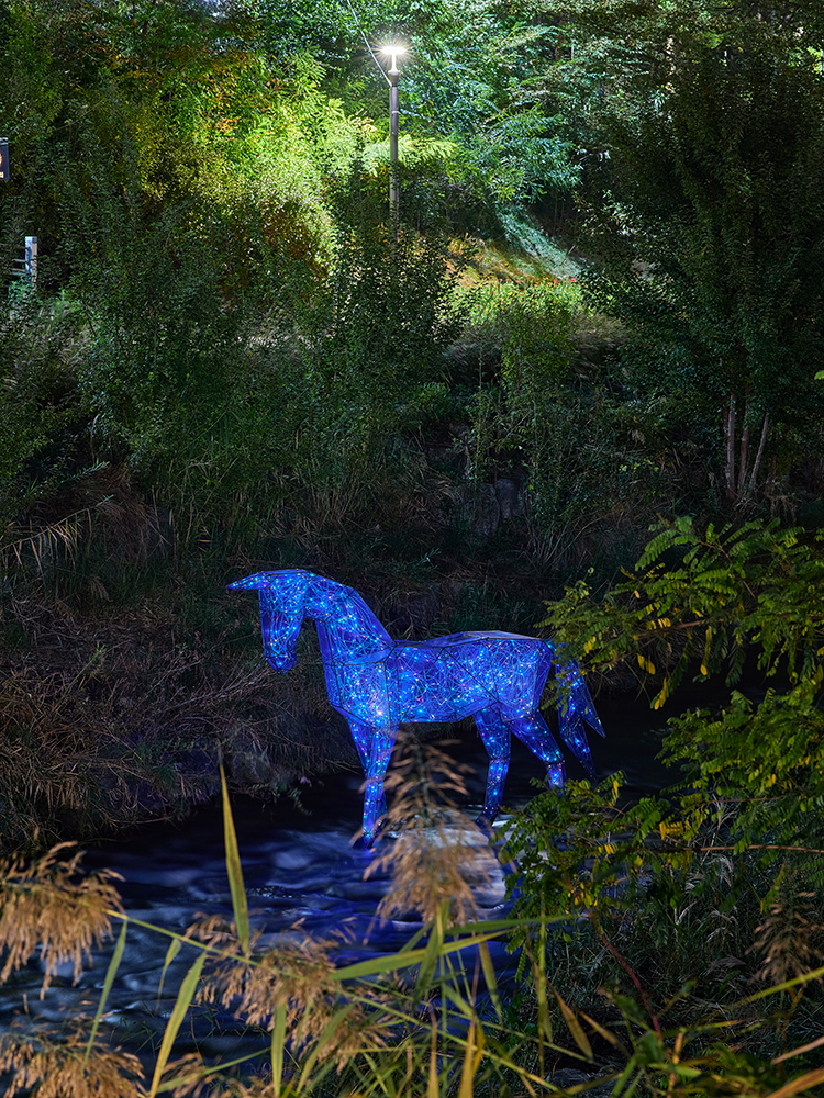 빛의전령1