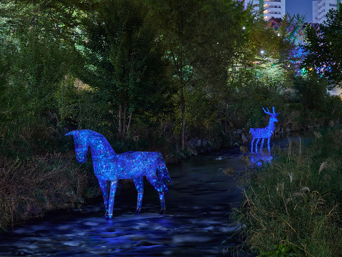 빛의전령3