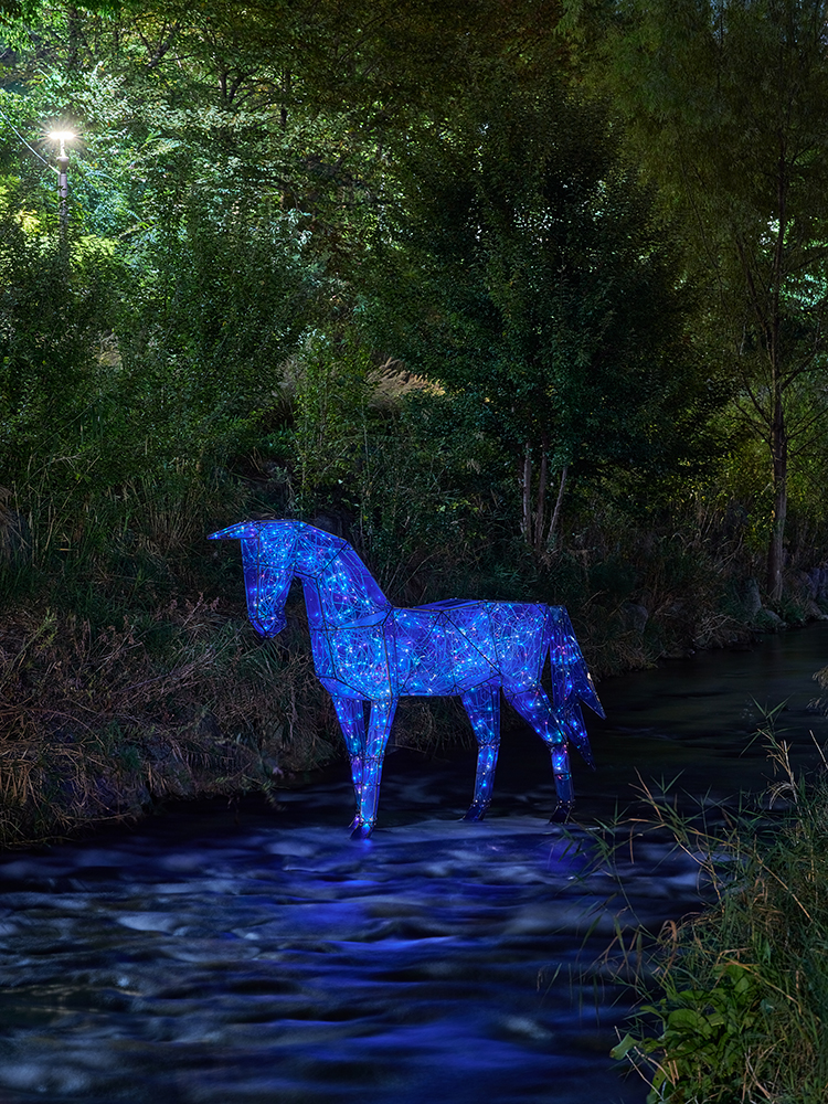 빛의전령4