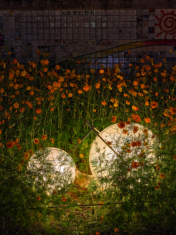 자전거여행3