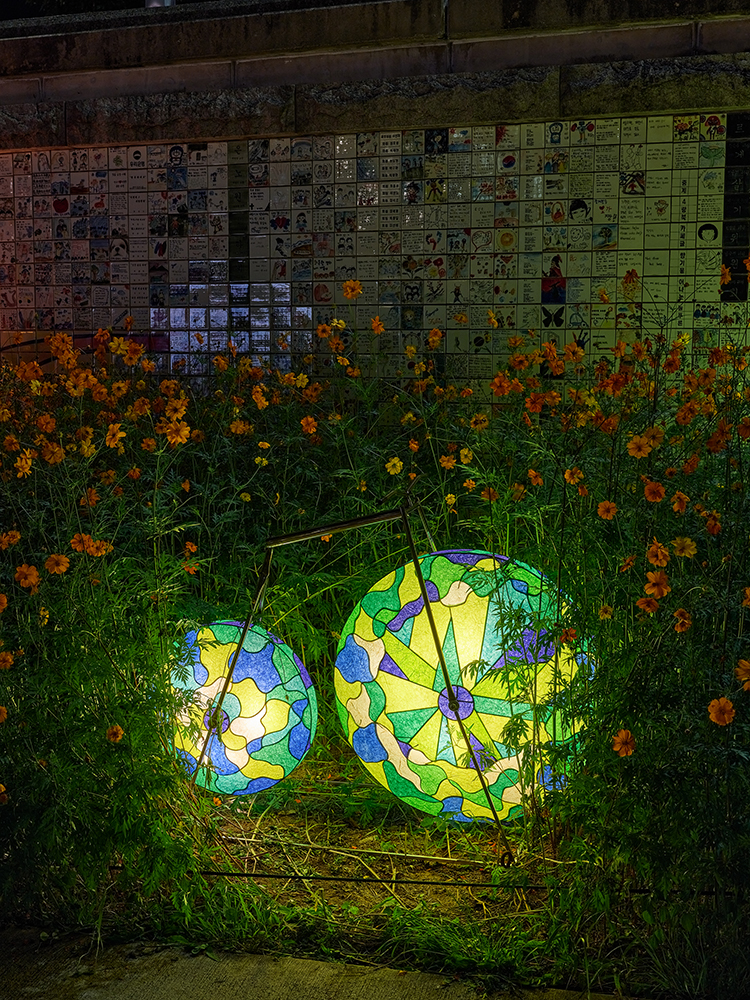 자전거여행4