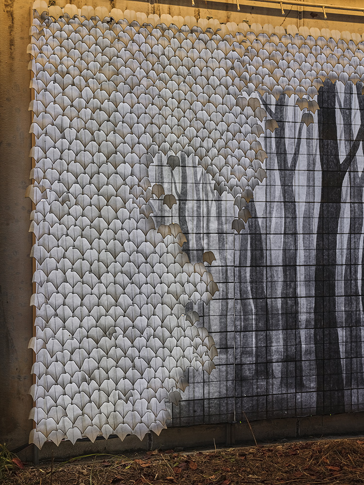 DSCF2708 복사