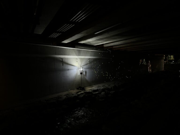 KakaoTalk_20241024_183529824_08