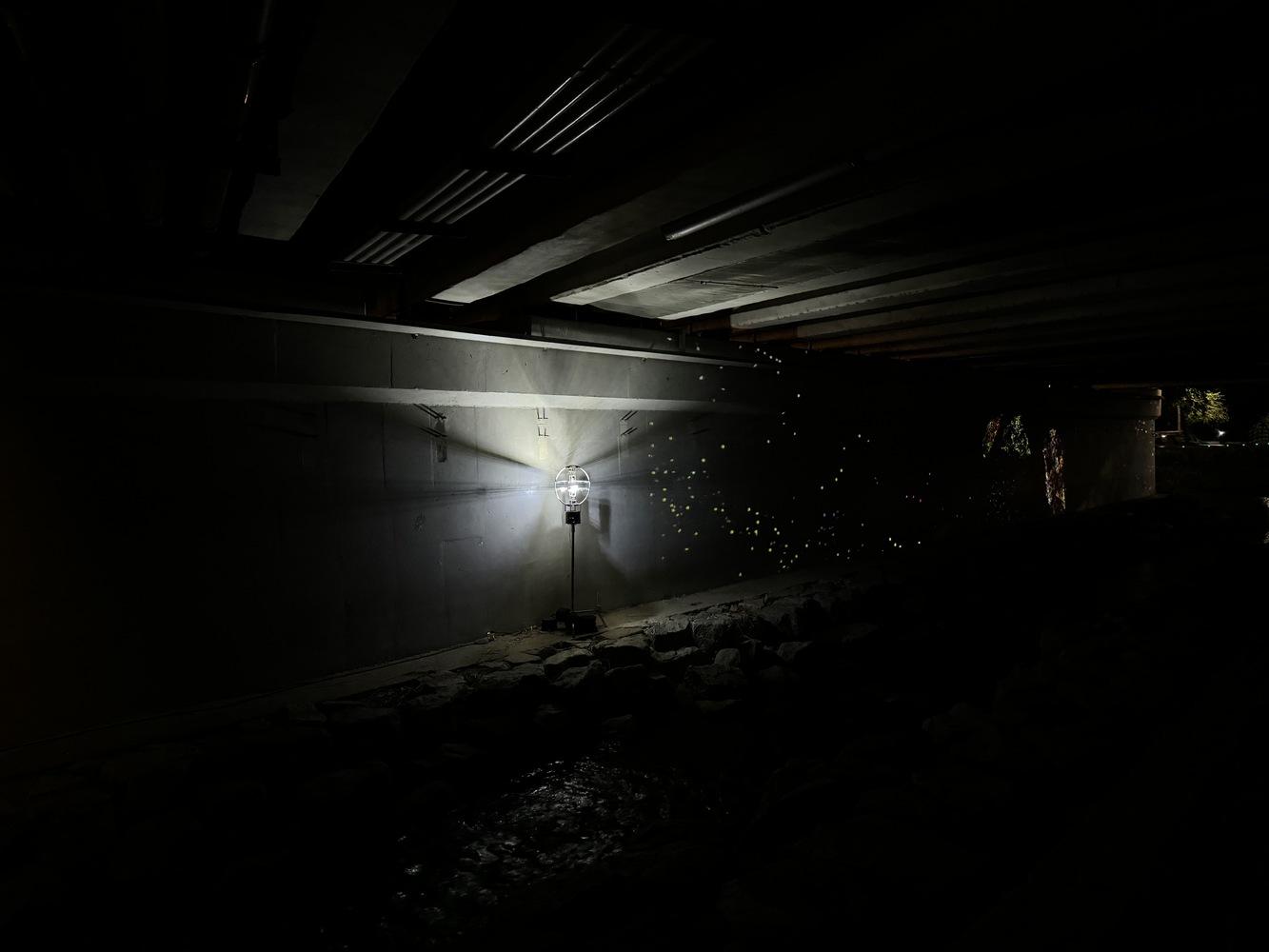 KakaoTalk_20241024_183529824_08