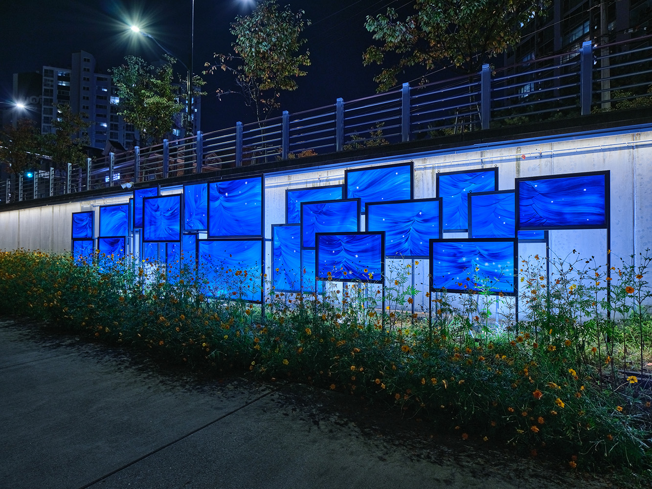 김지혜2