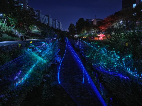 윤제호3